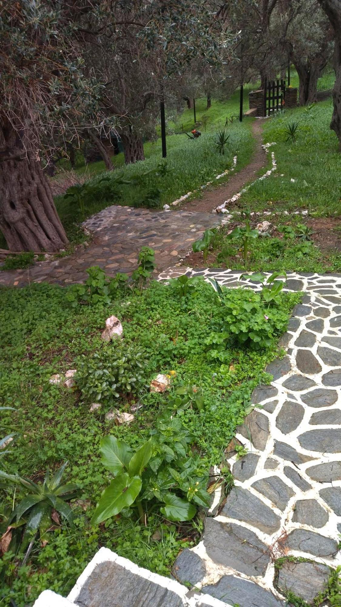 Apartamento Summer Sunrise Andros Exterior foto